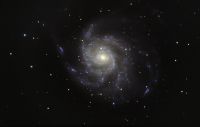 M101__1000